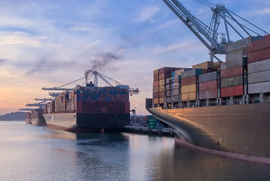 cargo ships with shipping containers